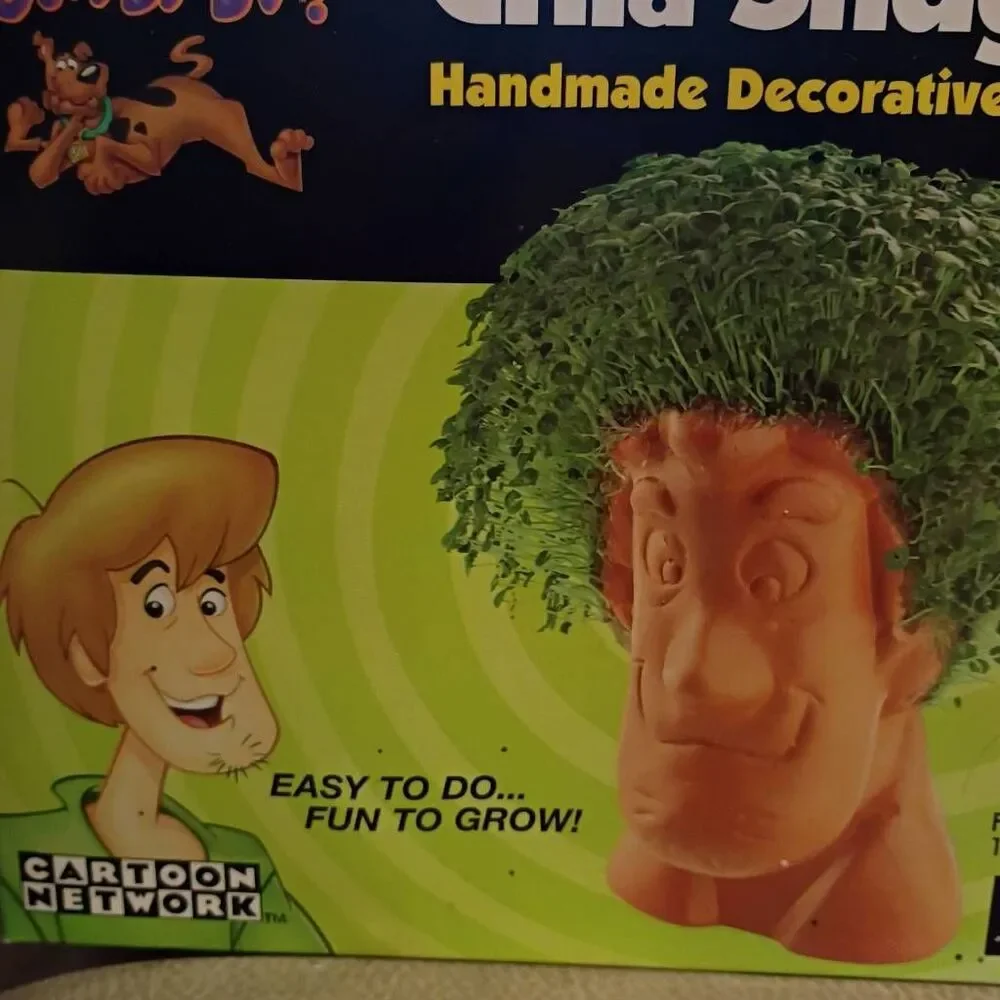 NWT Cartoon Network Scooby Doo Chia Shaggy